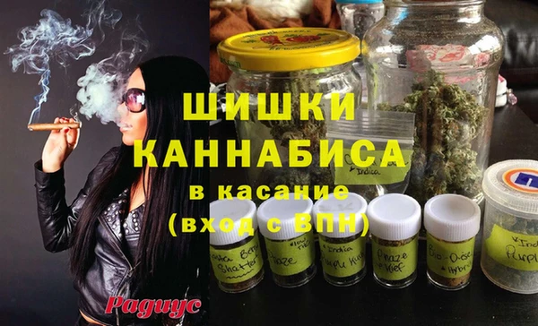 гашик Нефтекумск